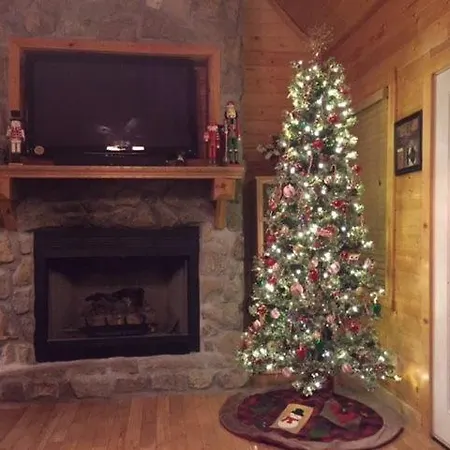 Majestic Springs Lodge Cabin